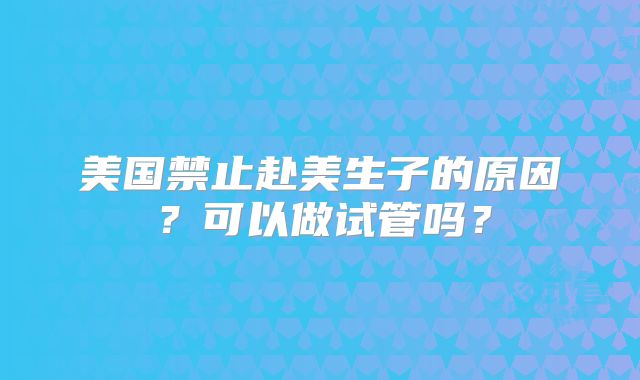美国禁止赴美生子的原因?可以做试管吗?