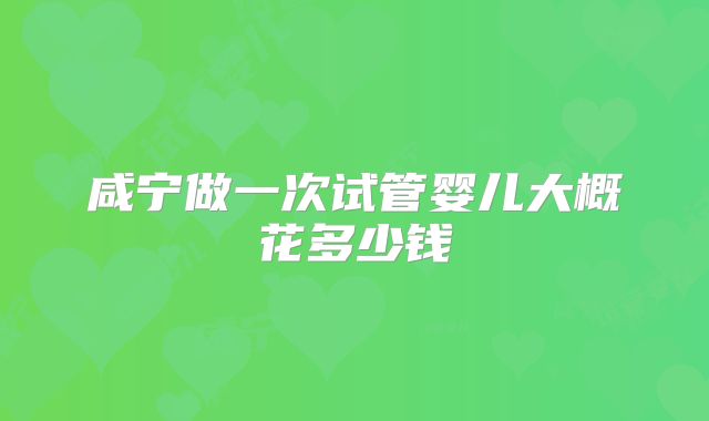 咸宁做一次试管婴儿大概花多少钱