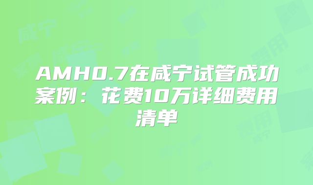 AMH0.7在咸宁试管成功案例:花费10万详细费用清单