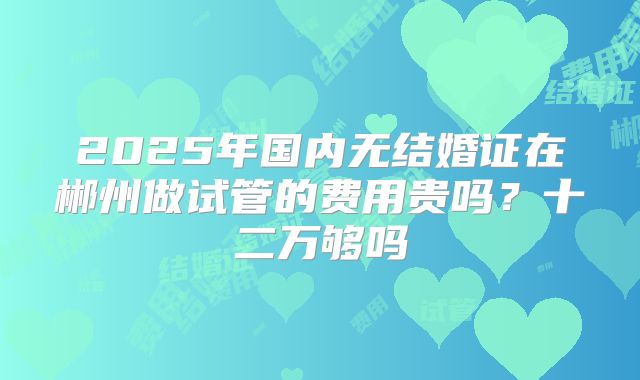 2025年国内无结婚证在郴州做试管的费用贵吗？十二万够吗