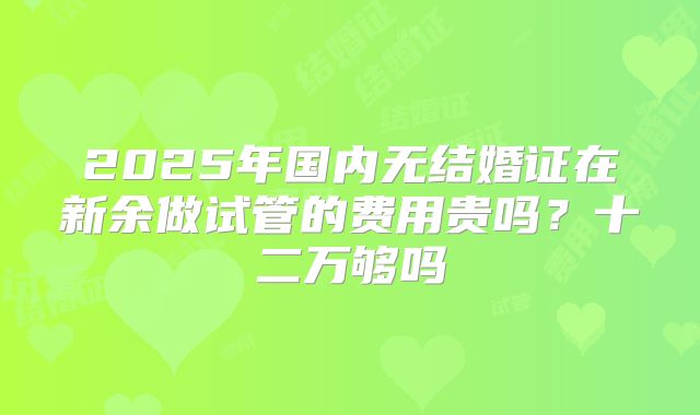 2025年国内无结婚证在新余做试管的费用贵吗?十二万够吗