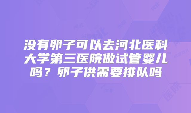没有卵子可以去河北医科大学第三医院做试管婴儿吗？卵子供需要排队吗