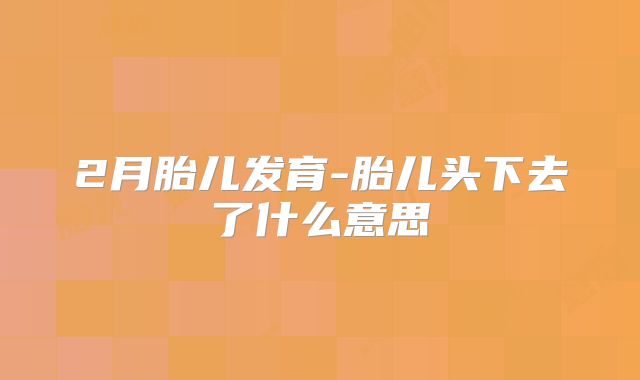 2月胎儿发育-胎儿头下去了什么意思