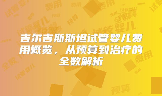 吉尔吉斯斯坦试管婴儿费用概览，从预算到治疗的全数解析