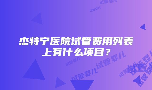 杰特宁医院试管费用列表上有什么项目？