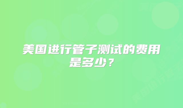 美国进行管子测试的费用是多少?