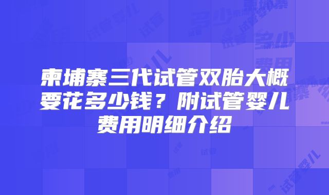 柬埔寨三代试管双胎大概要花多少钱?附试管婴儿费用明细介绍
