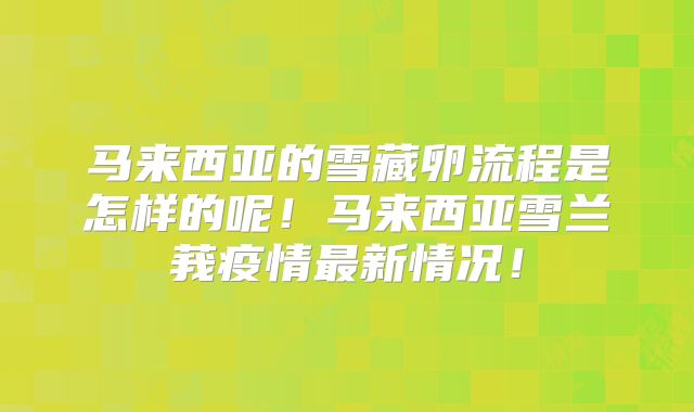 马来西亚的雪藏卵流程是怎样的呢！马来西亚雪兰莪疫情最新情况！