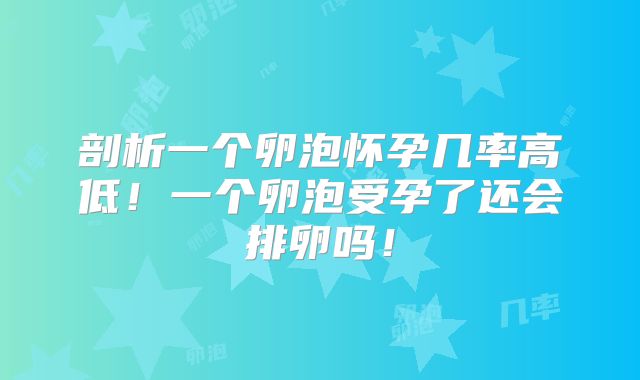 剖析一个卵泡怀孕几率高低!一个卵泡受孕了还会排卵吗!