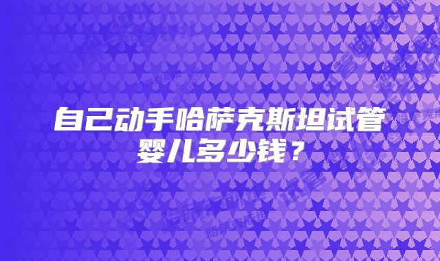 自己动手哈萨克斯坦试管婴儿多少钱？