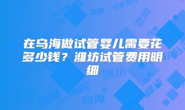 在乌海做试管婴儿需要花多少钱？潍坊试管费用明细