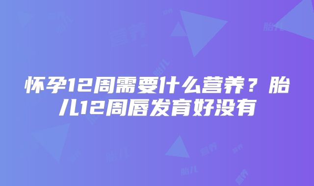 怀孕12周需要什么营养?胎儿12周唇发育好没有