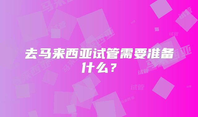去马来西亚试管需要准备什么？