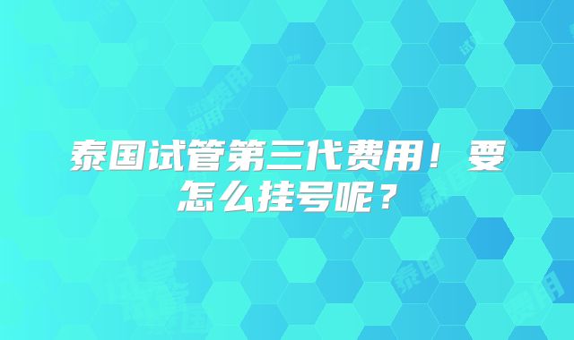 泰国试管第三代费用！要怎么挂号呢？