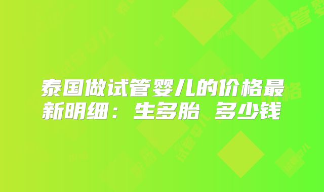 泰国做试管婴儿的价格最新明细:生多胎 多少钱