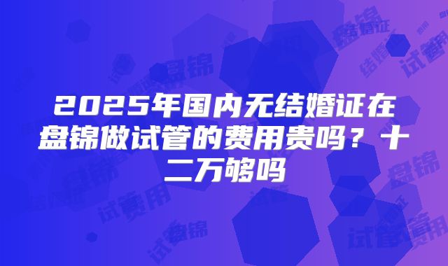 2025年国内无结婚证在盘锦做试管的费用贵吗?十二万够吗