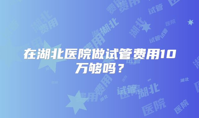 在湖北医院做试管费用10万够吗？