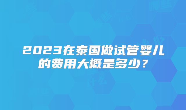 2023在泰国做试管婴儿的费用大概是多少？