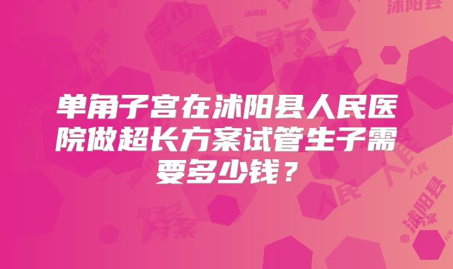 单角子宫在沭阳县人民医院做超长方案试管生子需要多少钱？