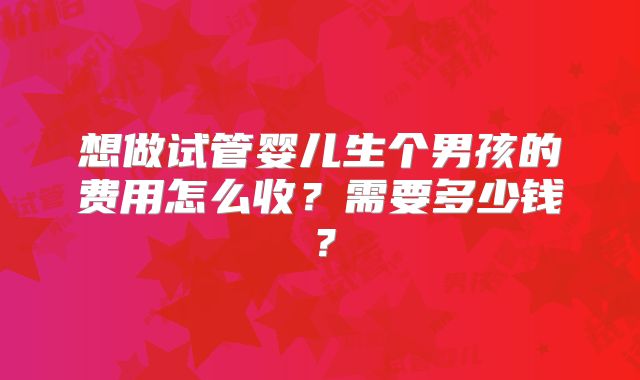 想做试管婴儿生个男孩的费用怎么收？需要多少钱？