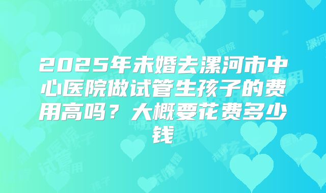 2025年未婚去漯河市中心医院做试管生孩子的费用高吗?大概要花费多少钱