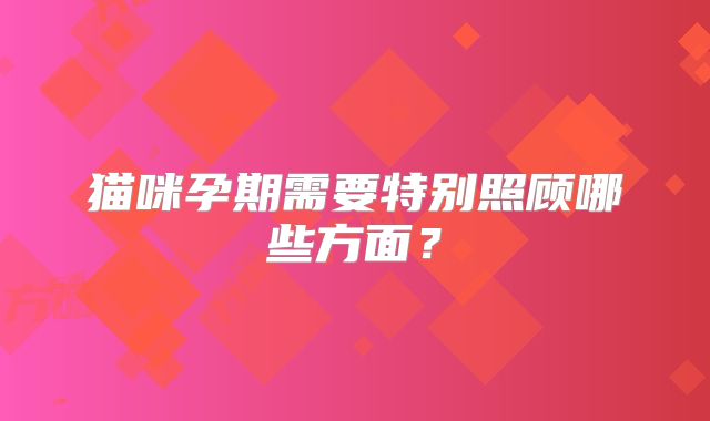 猫咪孕期需要特别照顾哪些方面？