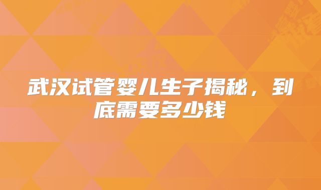 武汉试管婴儿生子揭秘,到底需要多少钱