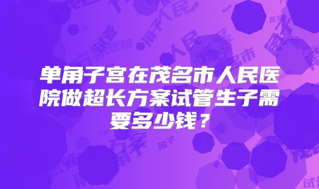 单角子宫在茂名市人民医院做超长方案试管生子需要多少钱？