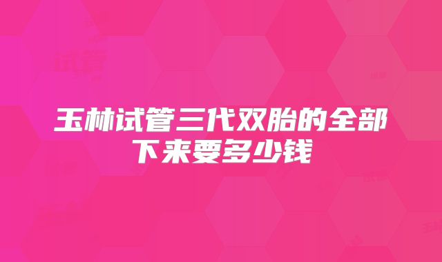 玉林试管三代双胎的全部下来要多少钱