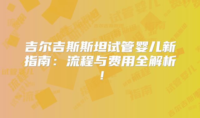 吉尔吉斯斯坦试管婴儿新指南：流程与费用全解析！
