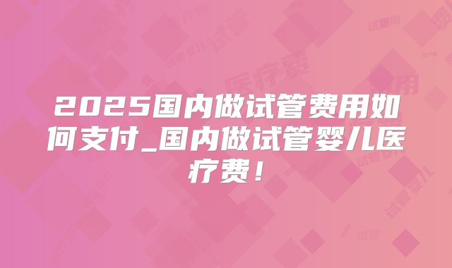 2025国内做试管费用如何支付_国内做试管婴儿医疗费！