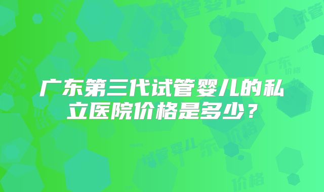 广东第三代试管婴儿的私立医院价格是多少？