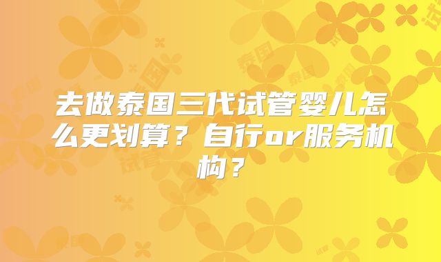 去做泰国三代试管婴儿怎么更划算？自行or服务机构？