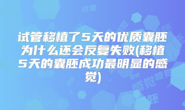 试管移植了5天的优质囊胚为什么还会反复失败(移植5天的囊胚成功最明显的感觉)