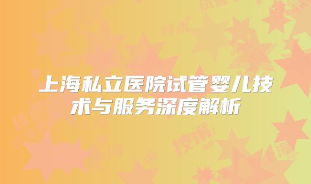 上海私立医院试管婴儿技术与服务深度解析