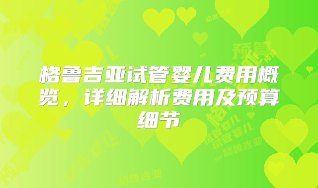 格鲁吉亚试管婴儿费用概览,详细解析费用及预算细节