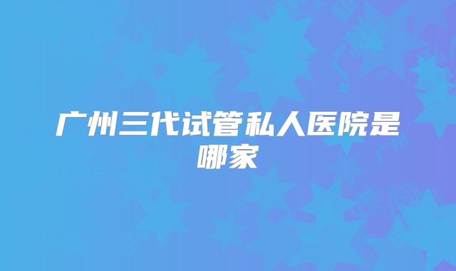 广州三代试管私人医院是哪家