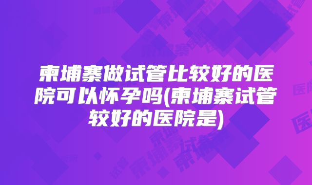 柬埔寨做试管比较好的医院可以怀孕吗(柬埔寨试管较好的医院是)