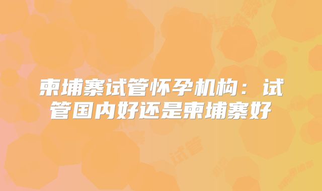 柬埔寨试管怀孕机构:试管国内好还是柬埔寨好
