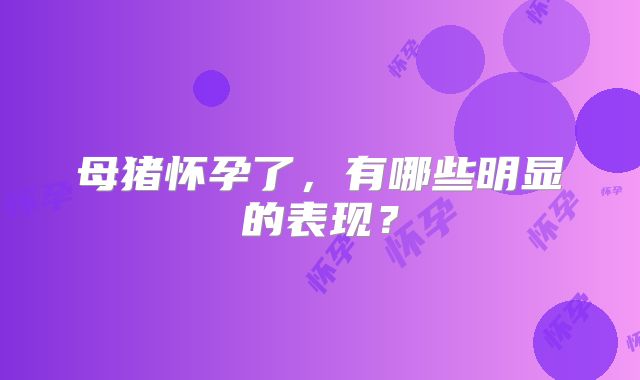 母猪怀孕了,有哪些明显的表现?