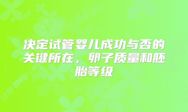 决定试管婴儿成功与否的关键所在，卵子质量和胚胎等级