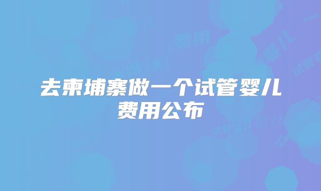去柬埔寨做一个试管婴儿费用公布