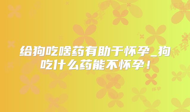 给狗吃啥药有助于怀孕_狗吃什么药能不怀孕！