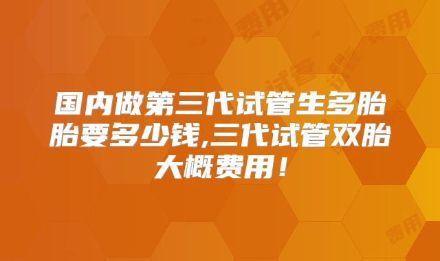 国内做第三代试管生多胎胎要多少钱,三代试管双胎大概费用!