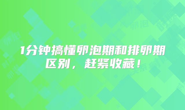 1分钟搞懂卵泡期和排卵期区别,赶紧收藏!