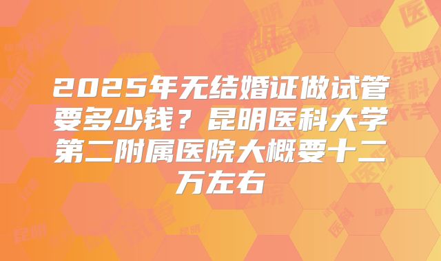 2025年无结婚证做试管要多少钱？昆明医科大学第二附属医院大概要十二万左右