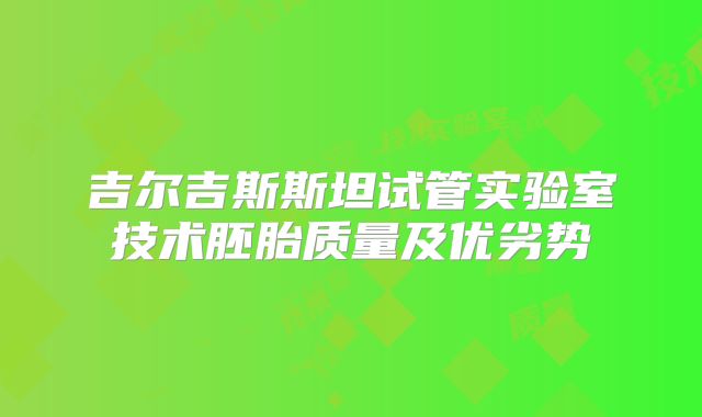 吉尔吉斯斯坦试管实验室技术胚胎质量及优劣势