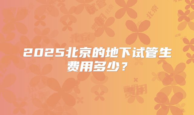 2025北京的地下试管生费用多少？
