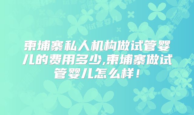 柬埔寨私人机构做试管婴儿的费用多少,柬埔寨做试管婴儿怎么样！