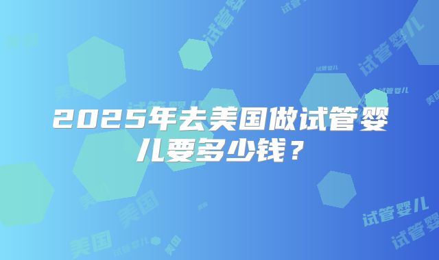 2025年去美国做试管婴儿要多少钱？